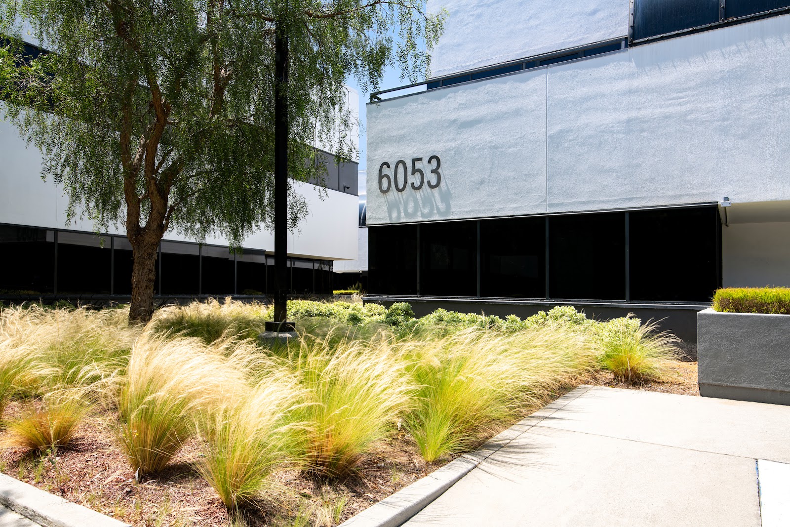 Los Angeles Outpatient Center